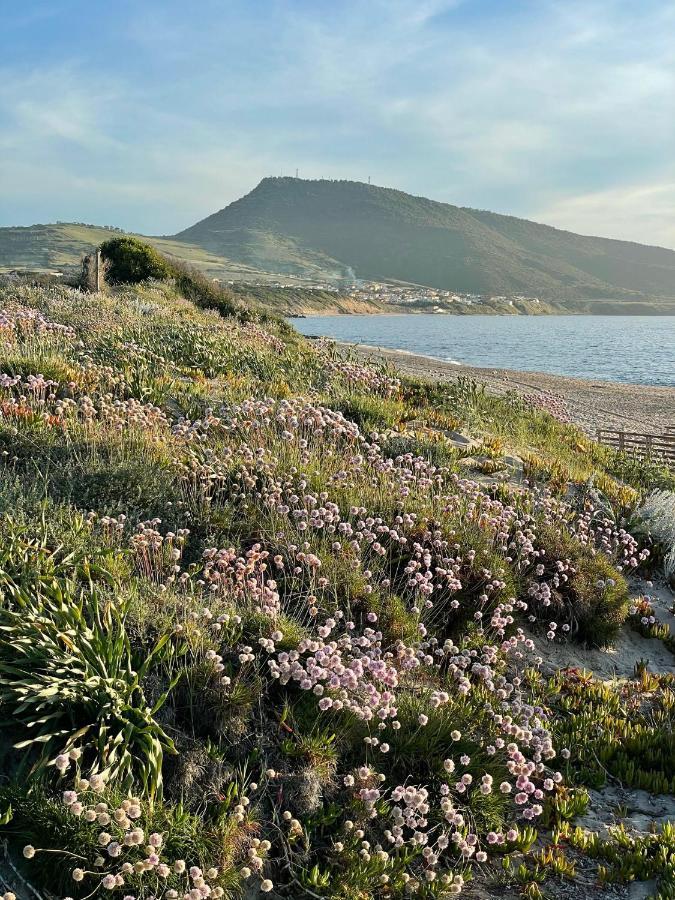 Zaffiro Casa Vacanze Al Mare Valledoria  Εξωτερικό φωτογραφία