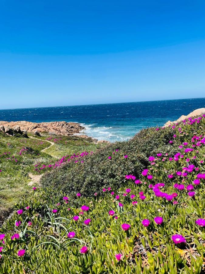 Zaffiro Casa Vacanze Al Mare Valledoria  Εξωτερικό φωτογραφία