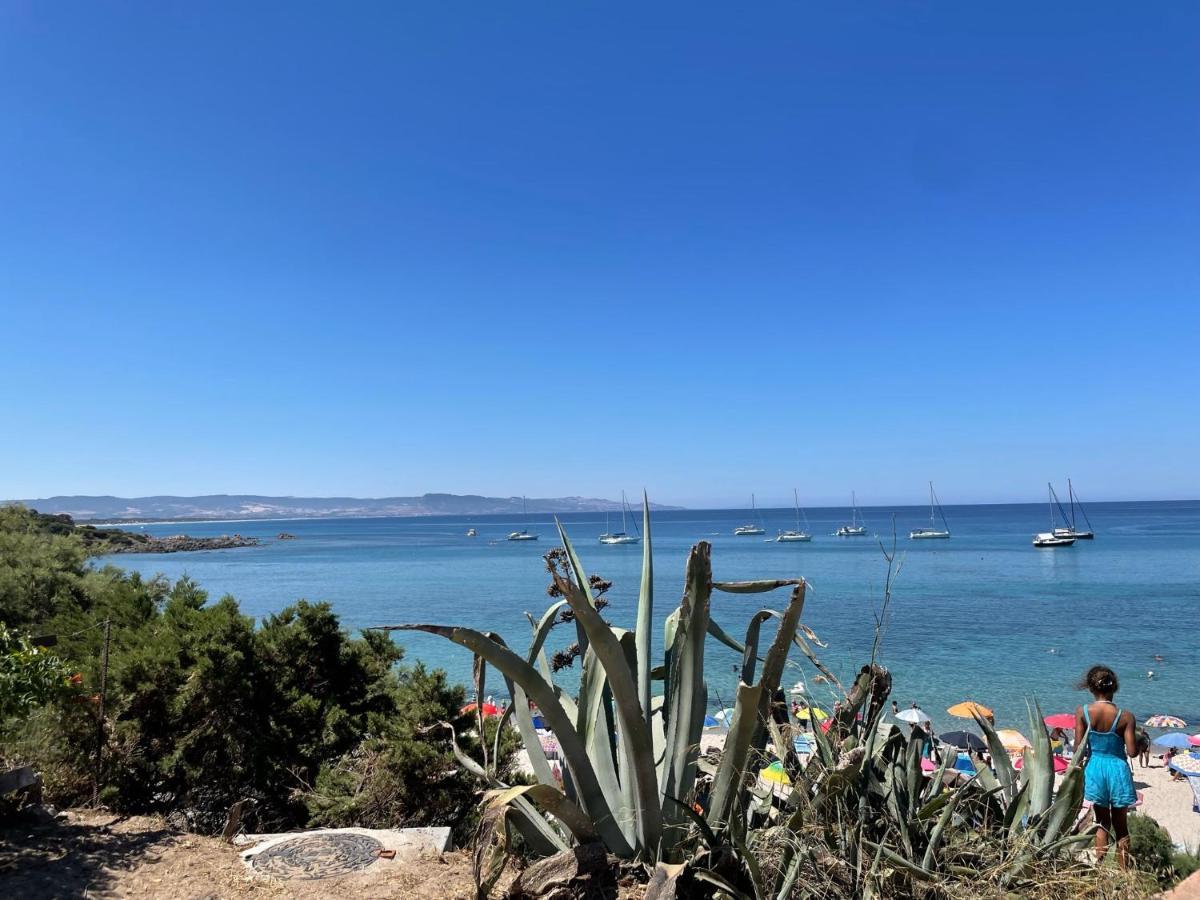 Zaffiro Casa Vacanze Al Mare Valledoria  Εξωτερικό φωτογραφία