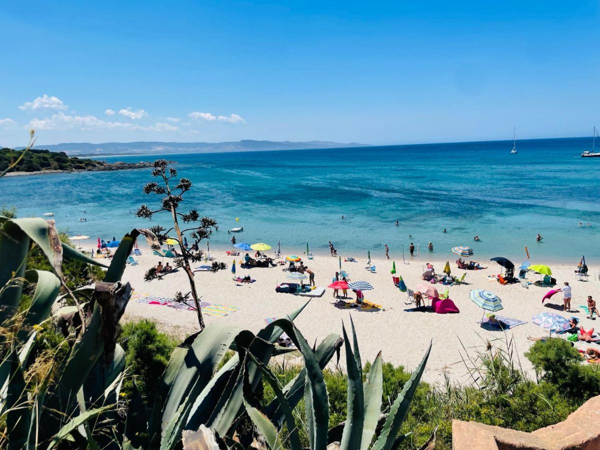 Zaffiro Casa Vacanze Al Mare Valledoria  Εξωτερικό φωτογραφία