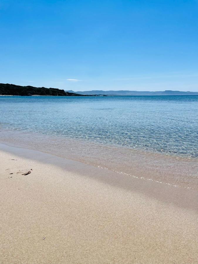 Zaffiro Casa Vacanze Al Mare Valledoria  Εξωτερικό φωτογραφία